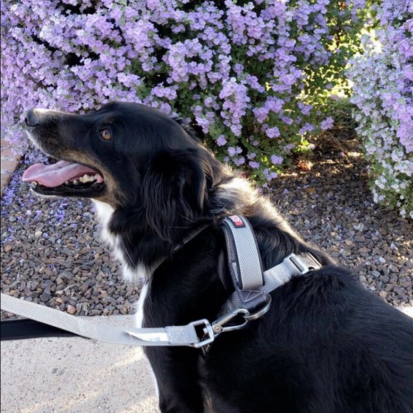 Meet your Posher, Marie - Picture 1 of 1